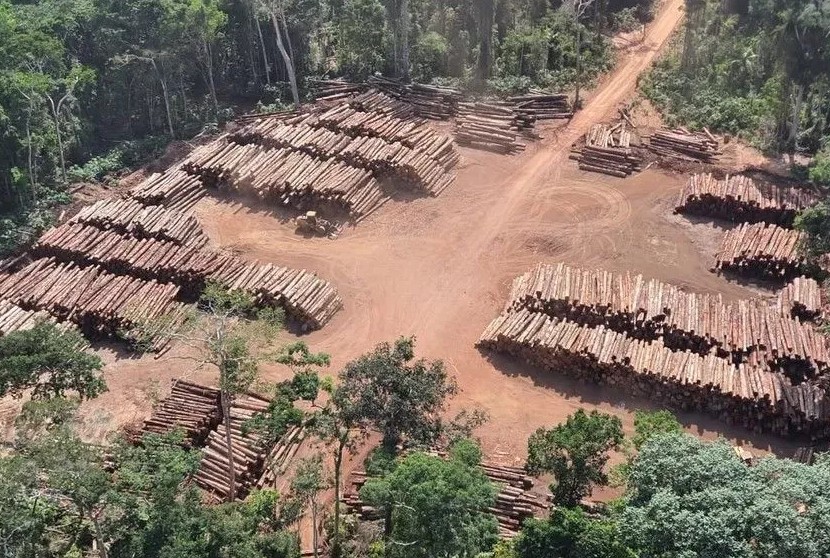 MEGAOPERAÇÃO: Ibama apreende milhares de caminhões com madeira e fecha várias serrarias