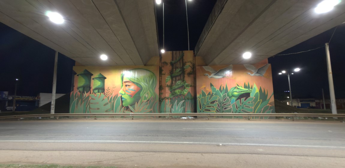 SEGURANÇA: Porto Velho passa a ter os cinco viadutos totalmente iluminados