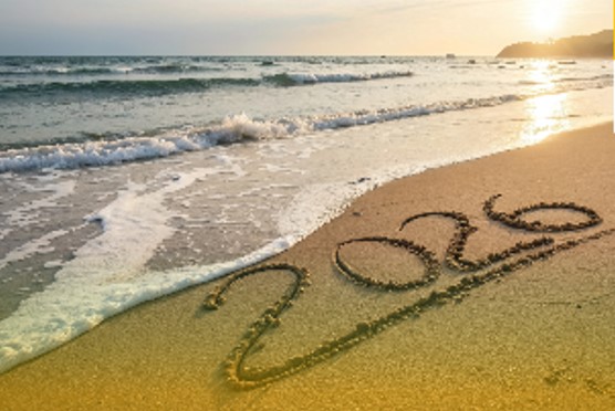 METAS DE ANO NOVO: 5 objetivos para incluir na lista em 2026