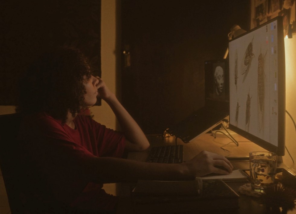 ARTE LOCAL: Mostra Amazônia Negra de Cinema inicia em novembro 