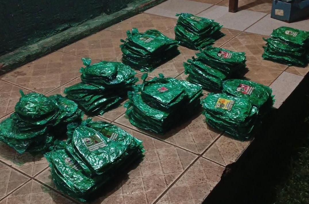 TRÁFICO: Folhas de coca são apreendidas durante fiscalização as margens do rio Mamoré