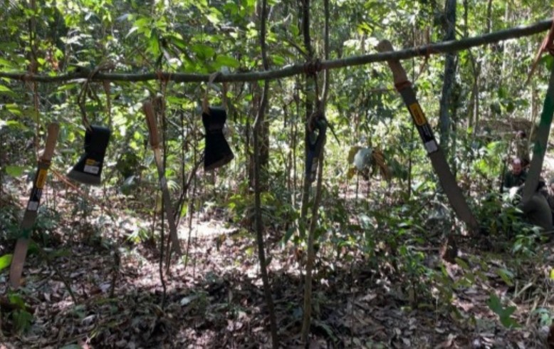 VESTÍGIOS: Funai divulga imagens de indígenas isolados em RO e MT