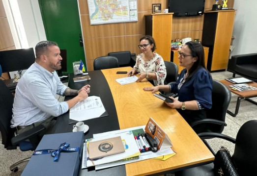 ROSANGELA DONADON: Deputada solicita estudo técnico para melhorar sinalização viária em Vilhena