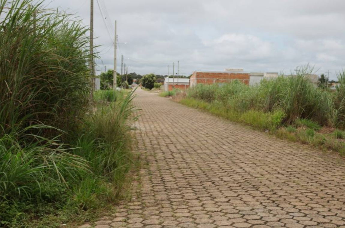 VILHENA: Prefeitura intensifica fiscalização de terrenos sujos e alerta para multas