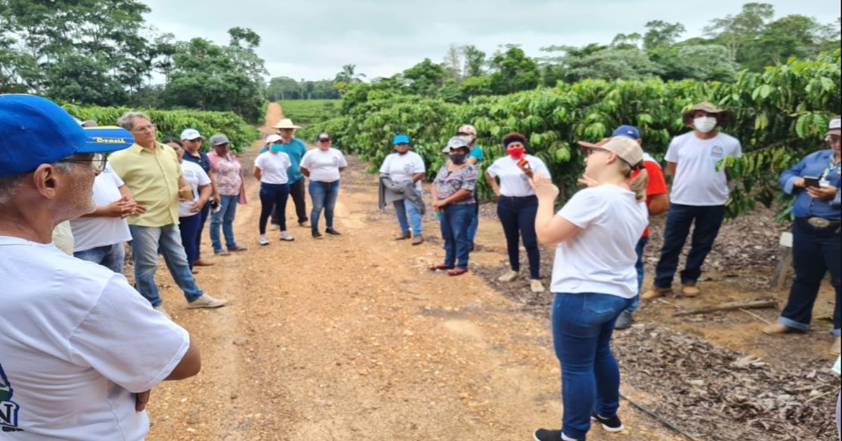 TROCA: Produtores de Roraima visitam RO para conhecer cafés robustas amazônicos