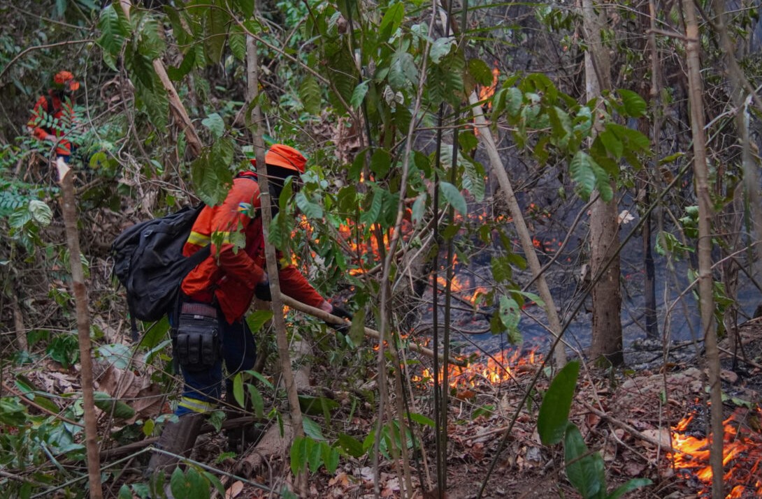 AÇÃO: Combate a incêndio é contínuo mesmo com dificuldade de acesso