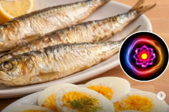 QUEM DIRIA: Ovos e sardinha ganham espaço como aliados na nutrição esportiva