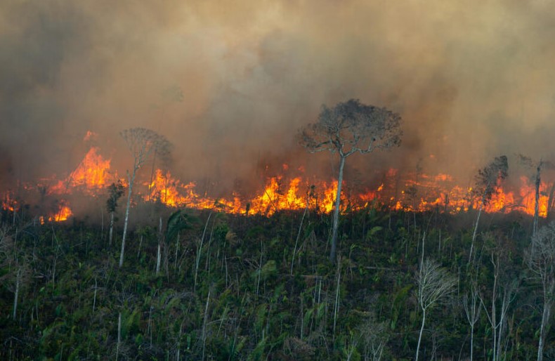SAÚDE E MEIO AMBIENTE: MPRO a cobrar ações contra queimadas em Rondônia