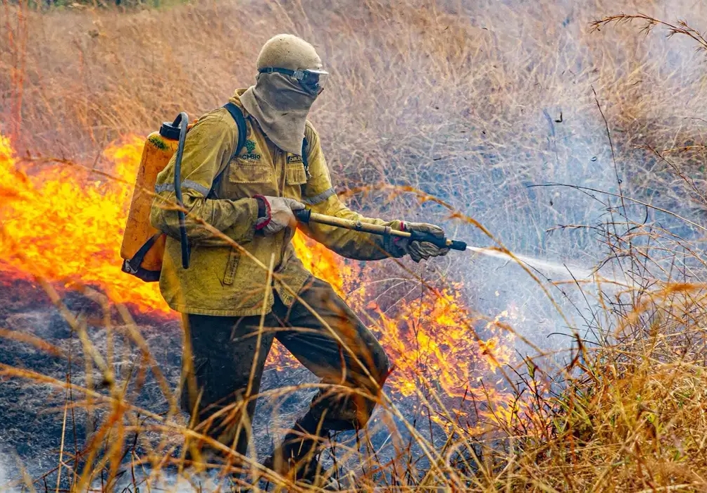MEIO AMBIENTE: Governo divulga planejamento para enfrentar incêndios em 2026