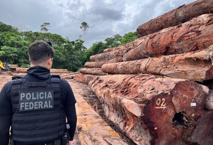 AMAPÁ: PF deflagra operação contra desmate ilegal em unidade de conservação
