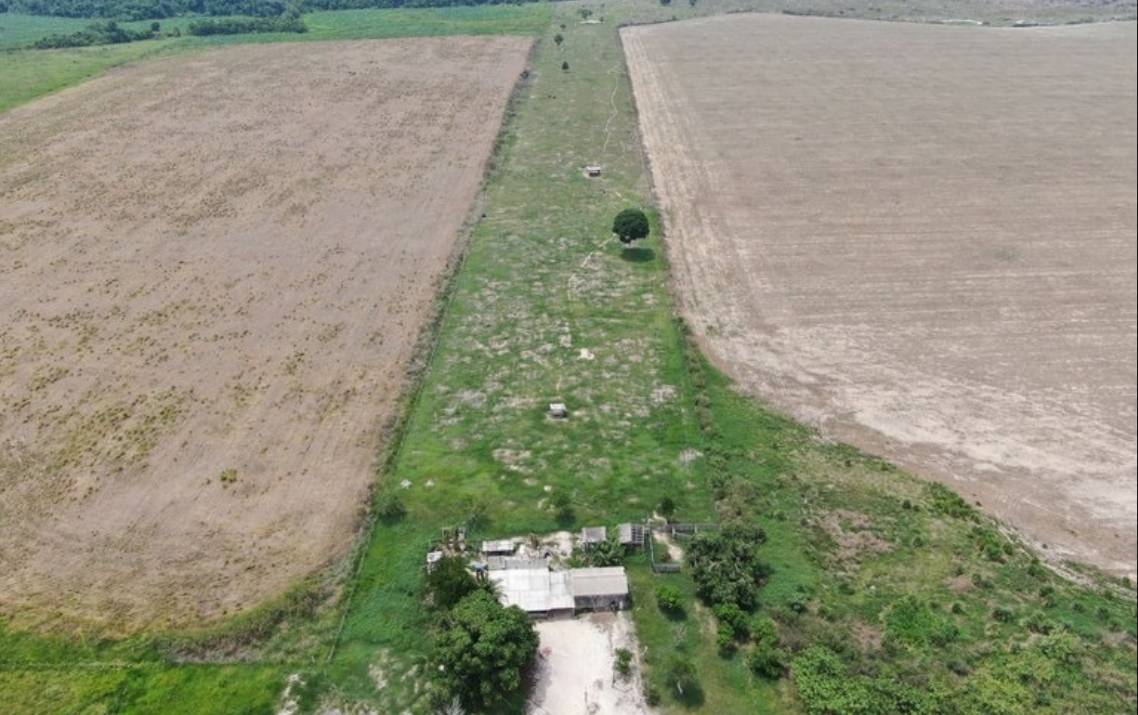 CRIME AMBIENTAL: MPF processa produtores de soja por contaminação de indígenas em Seringueiras