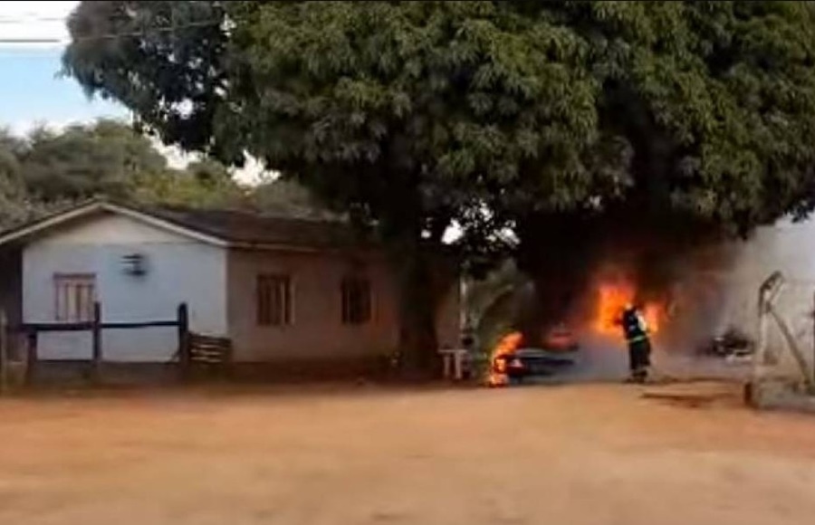 VÍDEO: Tentando espantar abelhas, homem ateia fogo em carro de luxo em cidade de MT