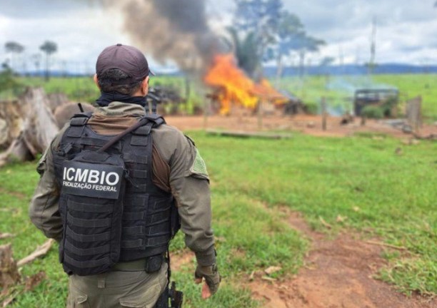 PARÁ: Ações contra o desmatamento resultam em R$ 10,8 milhões em multas