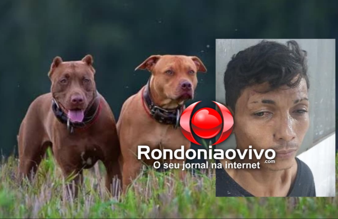LEVOU A PIOR: Assaltante de ônibus é atacado por pitbulls e preso após perseguição