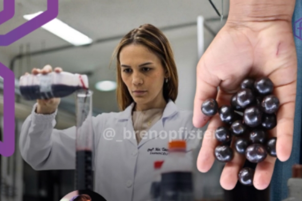 ANSIEDADE E DEPRESSÃO: Pesquisa da UFPA sugere que o consumo de açaí pode ter ação neuroprotetora