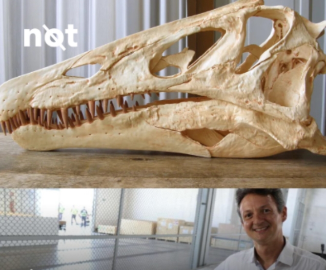 CLONIALISMO CIENTÍFICO: Itamaraty negocia a repatriação de fosseis de dinossauros brasileiros em 14 países