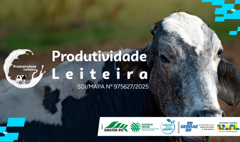 AGRO: Sebrae em Rondônia lança Projeto de Produtividade Leiteira em Ariquemes