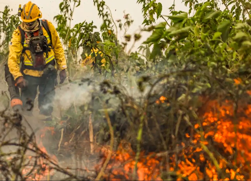 QUEIMADAS: Brasil já registrou mais de 154 mil focos de calor este ano