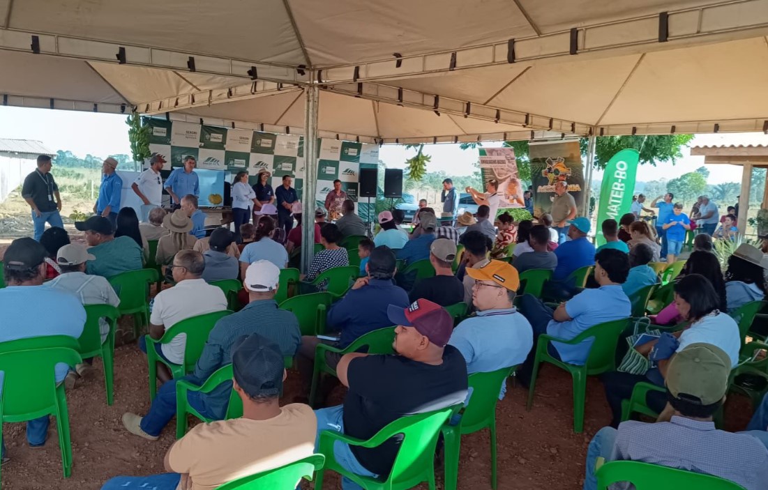 DIA DE CAMPO: Alex Redano destaca importância da BRS Terra-anã para a agricultura familiar