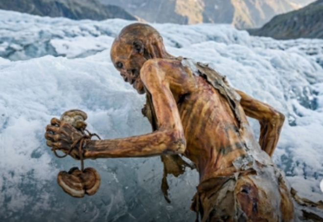 FLECHA CRAVADA: Homem do Gelo foi encontrado congelado nos Alpes após 5.300 anos
