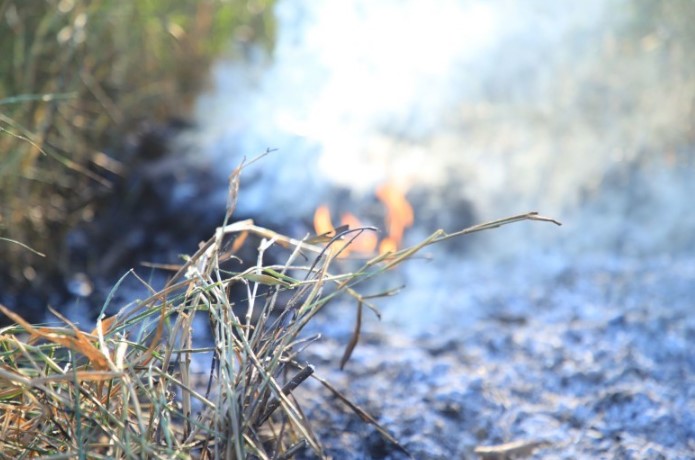 VERÃO AMAZÔNICO: Semusa reforça o cuidado com a saúde no período de calor e risco de queimadas
