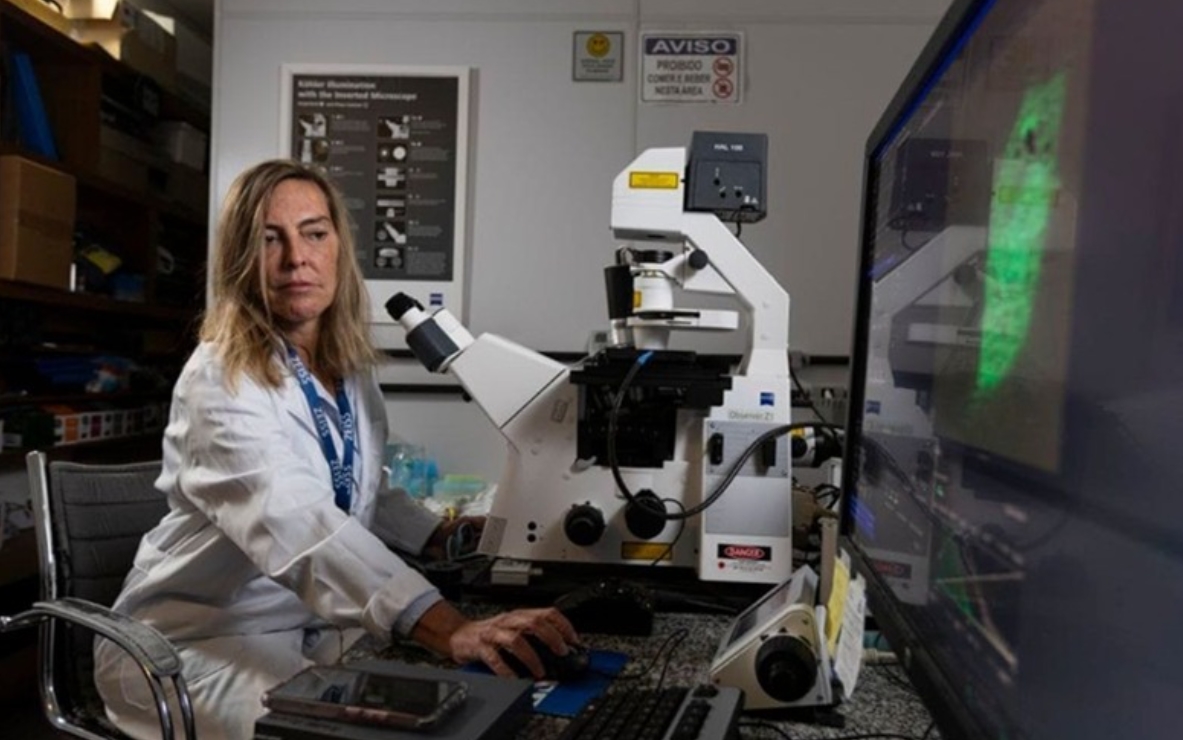 MULHER DO ANO: Pesquisa brasileira testa molécula para regeneração da medula espinhal