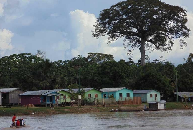 MAIS ALIMENTOS: Fundo Amazônia aplica R$ 80 milhões para produção agrícola comunitária