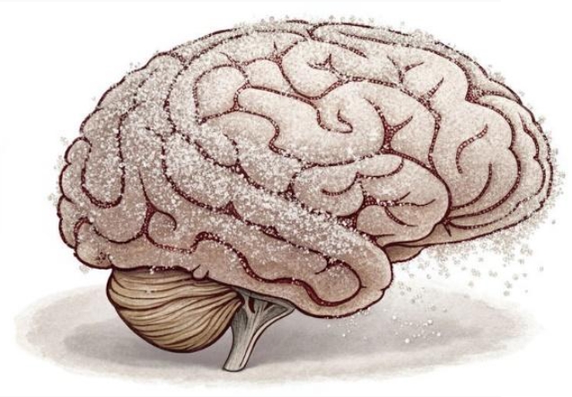 RISCO NA MESA: Os adoçantes destroem o cérebro de forma lenta?