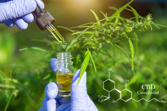 CBD: Conheça as principais características deste composto natural promissor