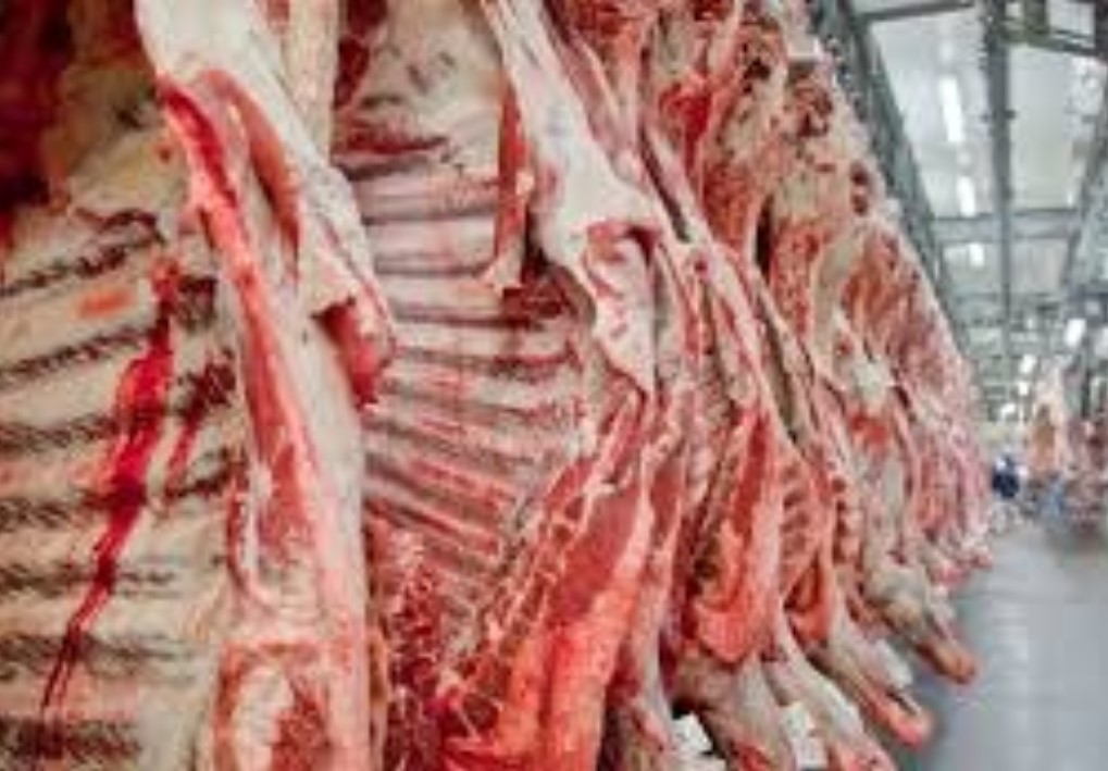 FORÇA DO BOI: RO é o maior exportador de carne da região Norte, movimentando US$ 144 mi
