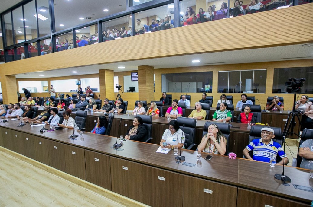 AUDIÊNCIA PÚBLICA: Cultura volta ao plenário da Alero e abre debates sobre políticas públicas