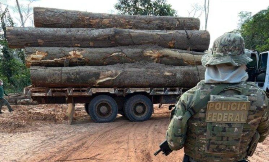 OPERAÇÃO: PF investiga exploração ilegal de madeira e de minério em terras indígenas