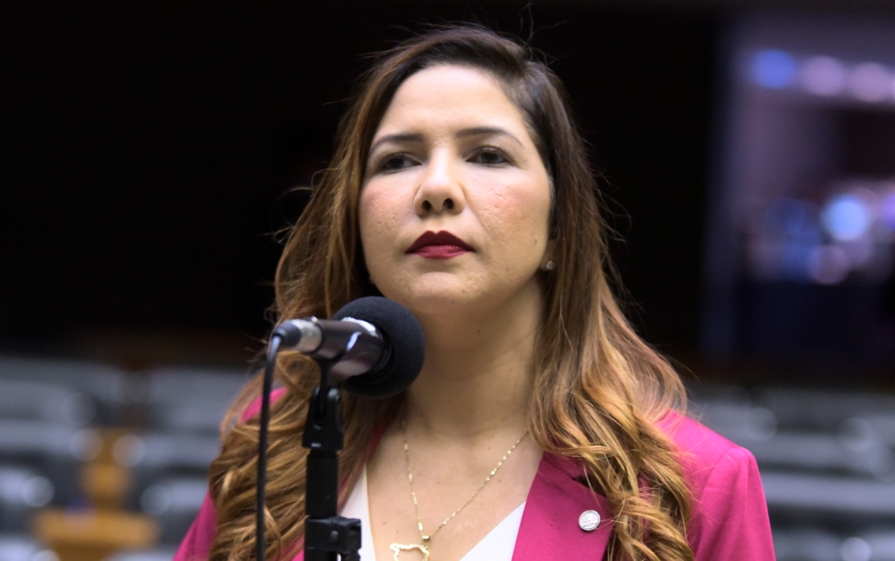 CRISTIANE LOPES: Deputada abre os trabalhos legislativos de 2026 reafirmando compromisso