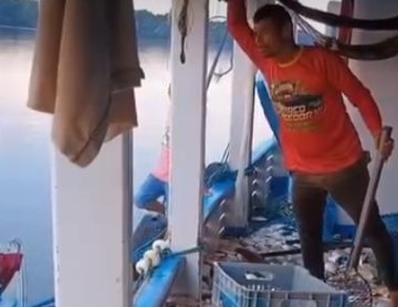 15% DOS PEIXES DO MUNDO: Amazônia abriga mais de 2.700 espécies de peixes e enfrenta riscos crescentes 