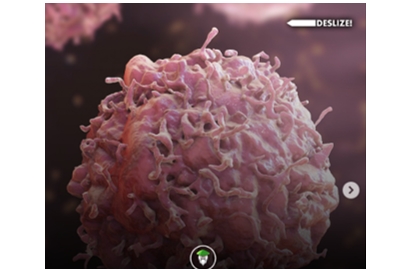 MOVA-SE: Atividade física regular pode prevenir milhares de casos de câncer