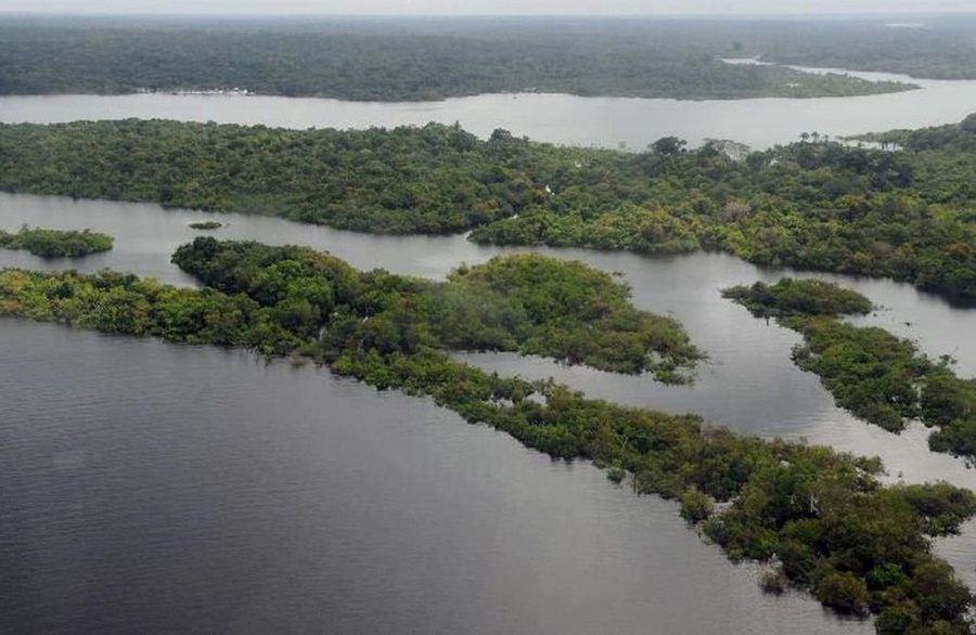 DEVASTAÇÃO: Narcotráfico potencializa destruição ambiental e violação de direitos