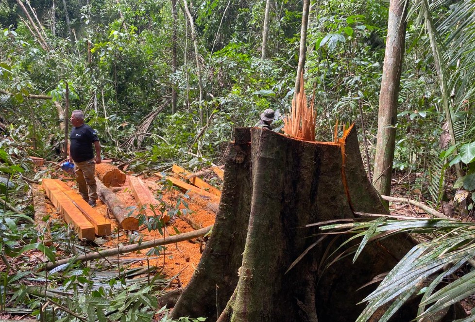 PRESERVAÇÃO: Batalhão de Polícia Ambiental realiza operação de fiscalização