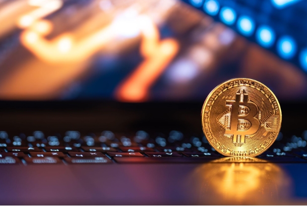 Melhores plataformas com bitcoin casino no deposit bonus para novos jogadores