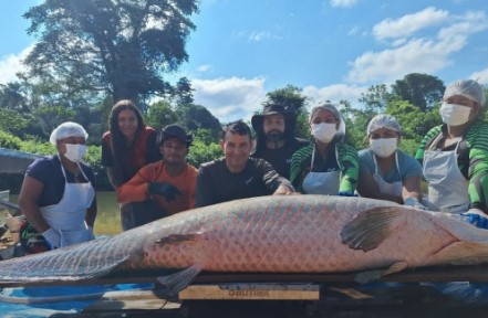PIRARUCU GIGANTE: Exemplar de 137,9 kg é capturado em RO
