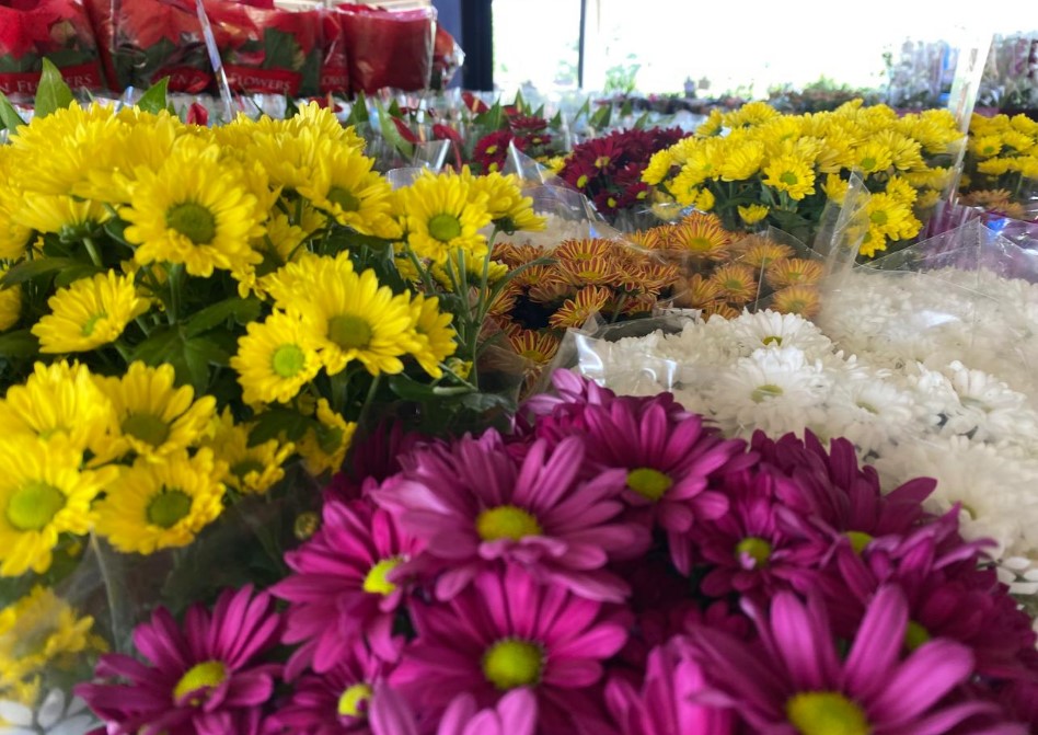 BENEFICENTE: Festival de Flores de Holambra chega a PVH e já encanta visitantes