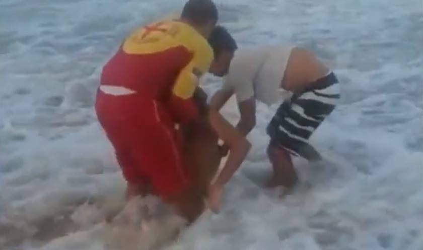 RESGATE: Confira o vídeo do jovem morto após ser atacado por tubarão