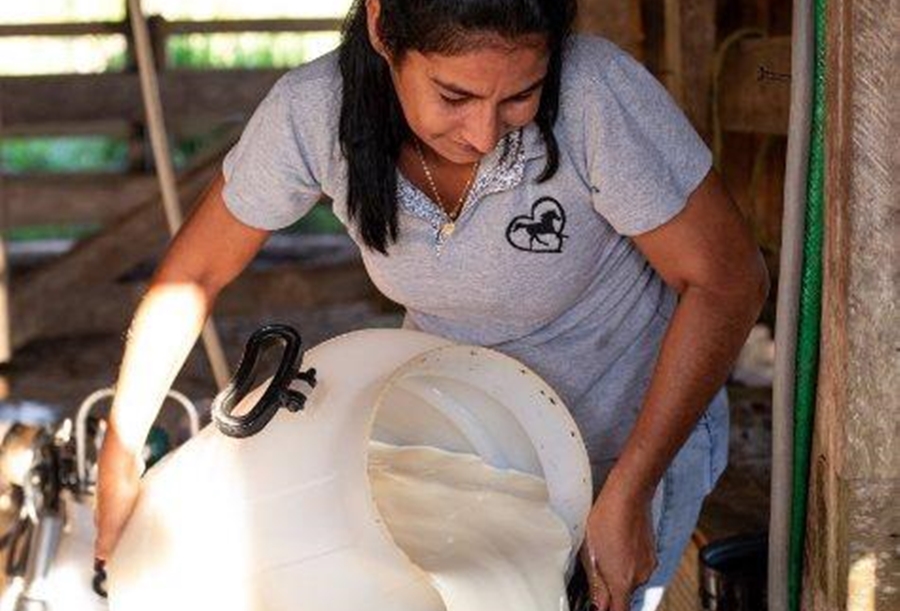 RO RURAL SHOW: Resultados dos concursos de Fotografia e Artesanato agitam espaço do Sebrae