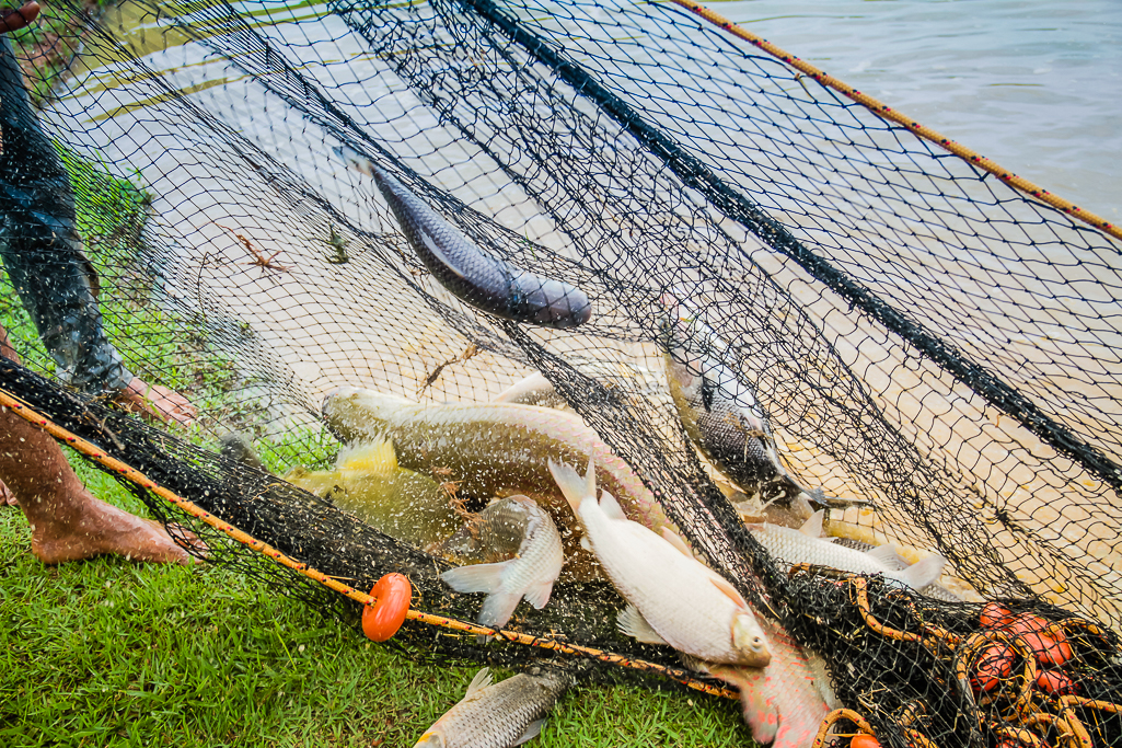 PERÍODO DO DEFESO: Governo proíbe pesca em todos os rios do Estado até março de 2021