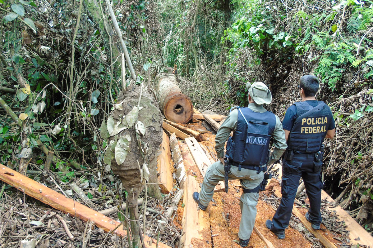 DIA DO ÍNDIO: Terras indígenas em Rondônia estão ameaçadas por invasores