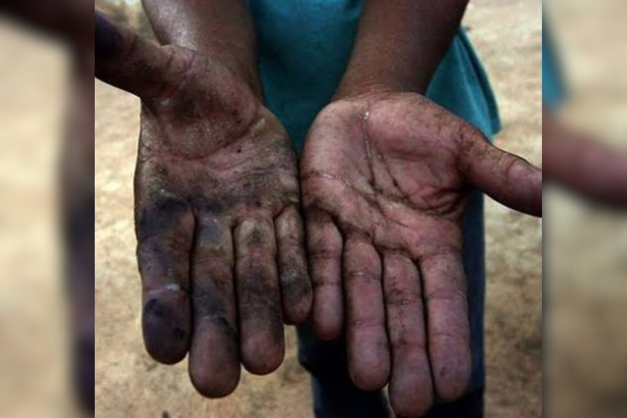 ESCRAVIDÃO: Rondônia foi listada 6 vezes em 'Lista Suja' do trabalho escravo