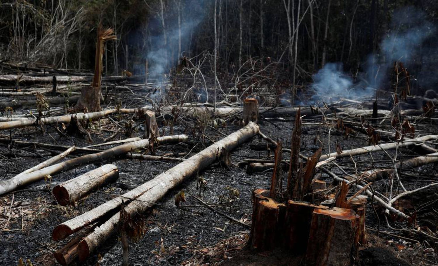 AMAZÔNIA: “Difícil imaginar” acordo com Mercosul, diz presidente da UE