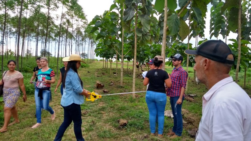 Estudantes participam de aula prática sobre floresta plantada na vitrine tecnológica da 7ª Rondônia Rural Show