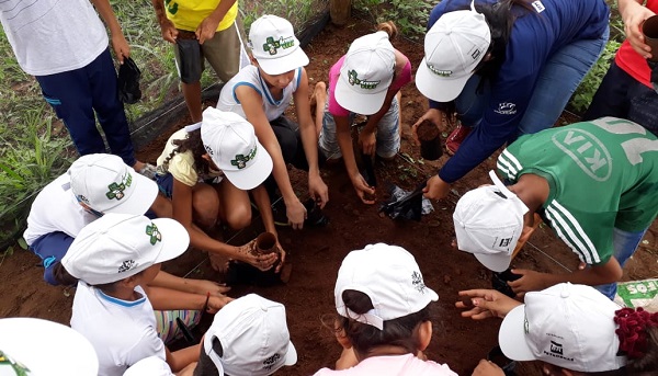 MEIO AMBIENTE: Aula prática de educação ambiental por meio do projeto Viveiro Cidadão