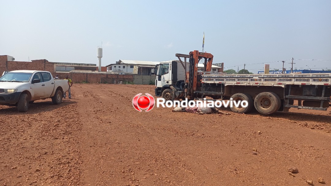 VÍDEO: Búfala abatida a tiros após ataques na capital é jogada em terreno de loja 