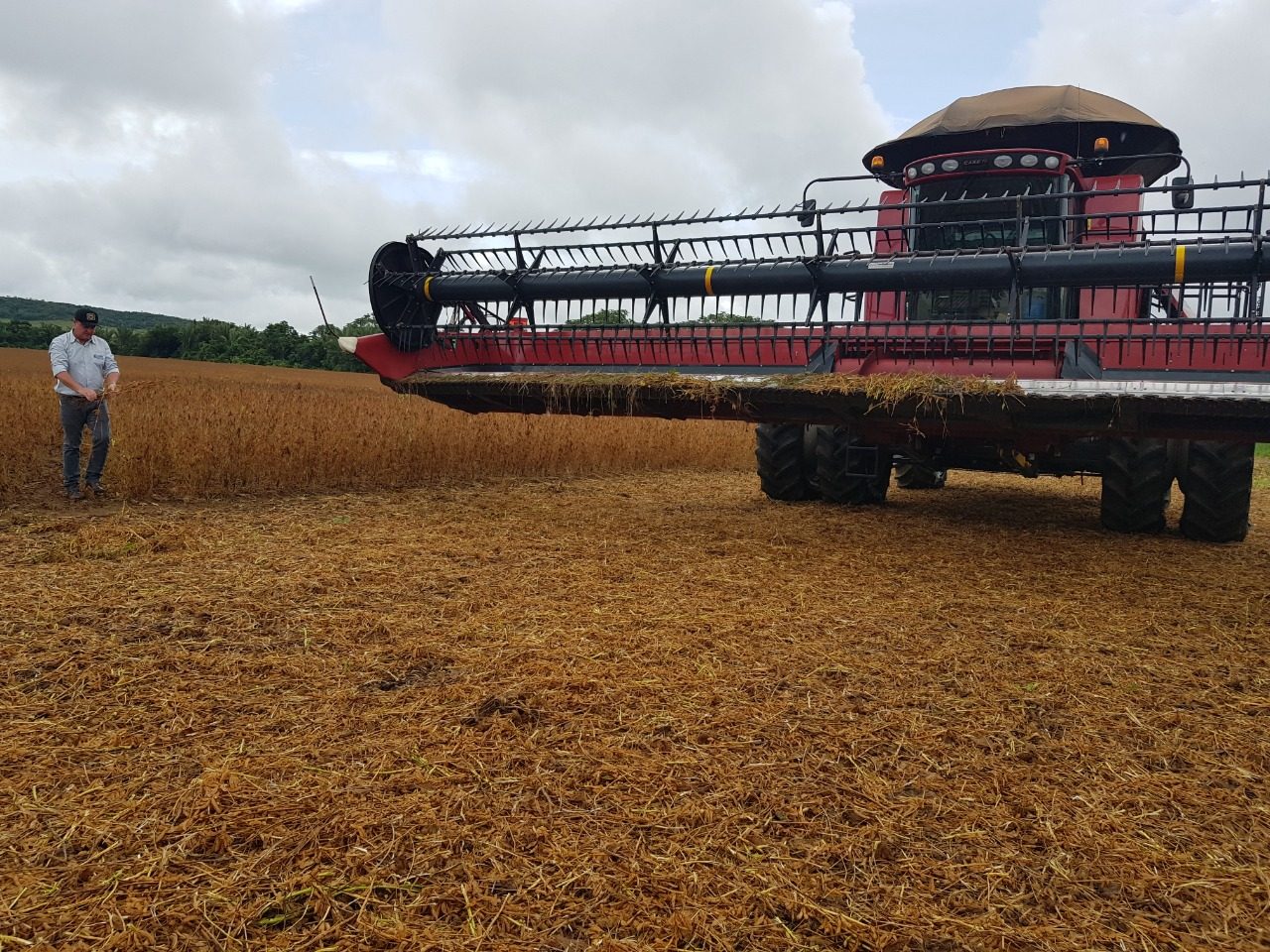 1° SEMESTRE: Rondônia tem aumento de 4,8% na exportação agropecuária 